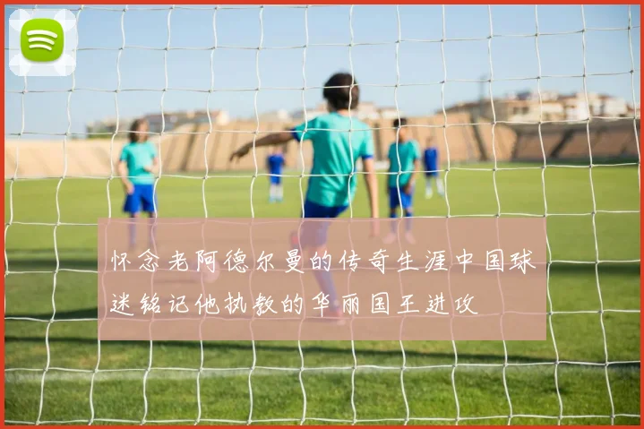 怀念老阿德尔曼的传奇生涯中国球迷铭记他执教的华丽国王进攻