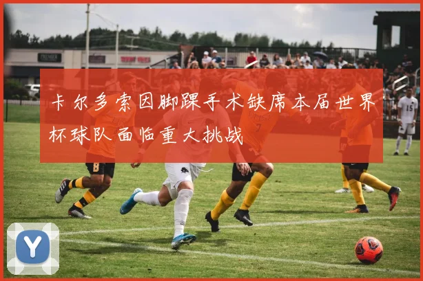 卡尔多索因脚踝手术缺席本届世界杯球队面临重大挑战
