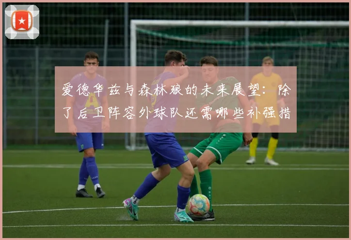 爱德华兹与森林狼的未来展望：除了后卫阵容外球队还需哪些补强措施