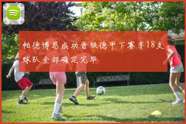 帕德博恩成功晋级德甲下赛季18支球队全部确定完毕